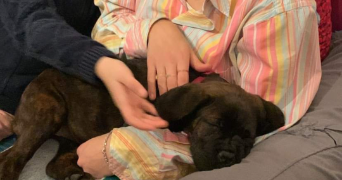 mélyne pet sitter à MARSEILLE 04 13004_3