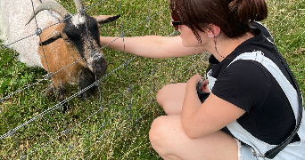 emilie pet sitter à BEINE 89800_1