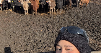 kahina pet sitter à CARRIERES SOUS POISSY 78955_0