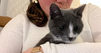 jade pet sitter à EPERNAY 51200_0