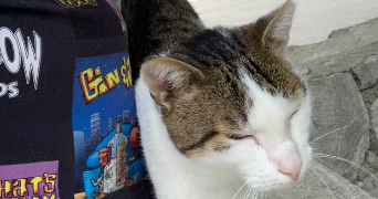 sonia  pet sitter à ST PRIX 95390_6