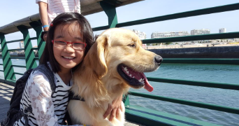 hélène  pet sitter à SCHILTIGHEIM 67300_2