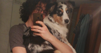 damien dog sitter à LILLE 59800_1