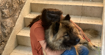 valerie pet sitter à VIRY CHATILLON 91170_0