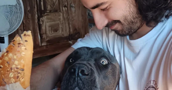 theo pet sitter à MANDELIEU LA NAPOULE 06210_2