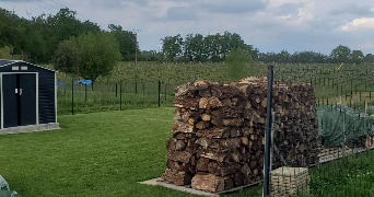 virginie pet sitter à BELLEVIGNE EN LAYON 49380_1