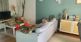 marie pet sitter à ORLEANS 45000_2