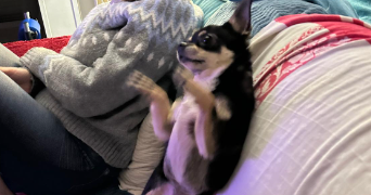 martine pet sitter à Orly 94310_2