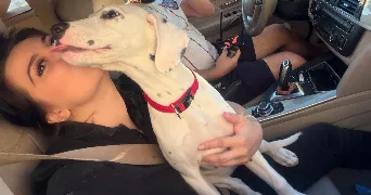 coraline  pet sitter à COLMAR 68000