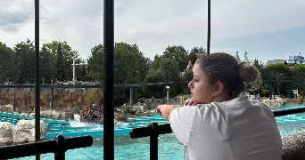 flahaut pet sitter à RIEC SUR BELON 29340