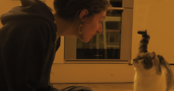 angélyne pet sitter à LYON 06 69006_2