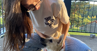 louane pet sitter à LE PUY EN VELAY 43000_1