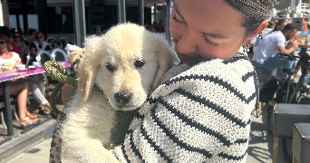 eva pet sitter à RENNES 35000_2