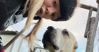 naïs pet sitter à NOYAL SUR VILAINE 35530_5
