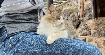 louise pet sitter à LYON 06 69006_2