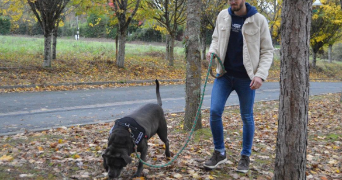 mathieu pet sitter à CADAUJAC 33140_2