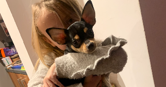 fanny pet sitter à ORGEVAL 78630_1