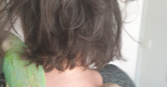 frédérique  pet sitter à ROYAN 17200_0
