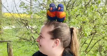 cynthia pet sitter à QUIERS 77720