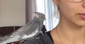 leila pet sitter à LAVAL 53000_2