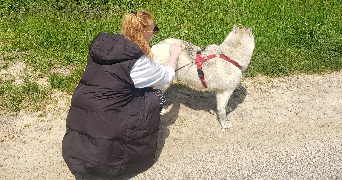 hélène  pet sitter à CAEN 14000_3