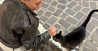 anaïs cat sitter à MARSEILLE 09 13009_0