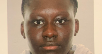 kantio dog sitter à LE PLESSIS ROBINSON 92350_0