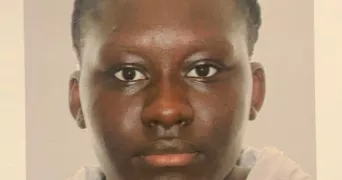 kantio dog sitter à LE PLESSIS ROBINSON 92350