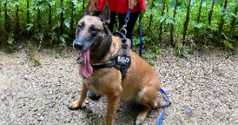 océane pet sitter à MONTIGNY LE BRETONNEUX 78180_1