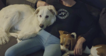 cloé  pet sitter à Montcourt-Fromonville 77140_1