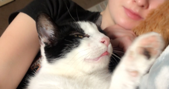 manon pet sitter à STRASBOURG 67200_2