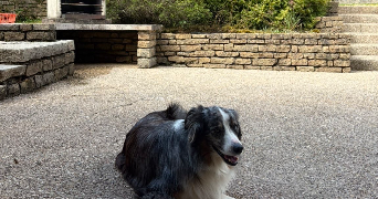 fatou pet sitter à BESANCON 25000_1