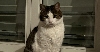 léna  pet sitter à ROUFFACH 68250_7