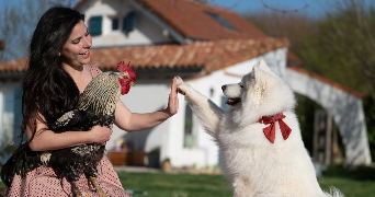 ever pet sitter à MORNAC SUR SEUDRE 17113_6