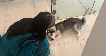 tévy pet sitter à MARSEILLE 05 13005_3