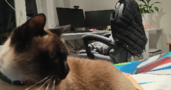nicolas pet sitter à VALENCE 26000_1