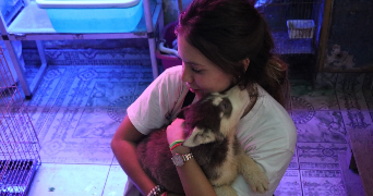 marie pet sitter à PARIS 15 75015_1