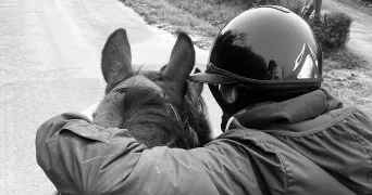 manon pet sitter à GUIPAVAS 29490