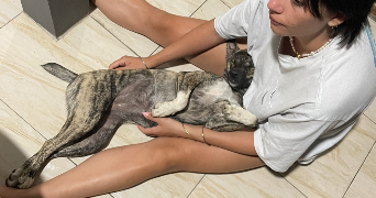 lili pet sitter à MURET 31600_6