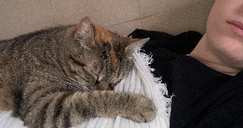 chloé pet sitter à CORMEILLES EN PARISIS 95240_4