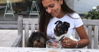 chade pet sitter à LEZENNES 59260