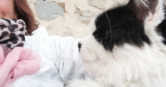 sylvette pet sitter à Épernon  28230_0