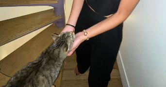 léonie pet sitter à CHATOU 78400_5