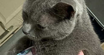 mathilde pet sitter à RODEZ 12000_3