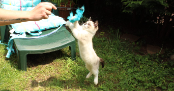 marine pet sitter à TRIEL SUR SEINE 78510_2
