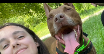 méline pet sitter à TAVERNY 95150_1