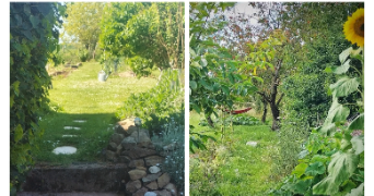 sylvie pet sitter à CEINTREY 54134_6