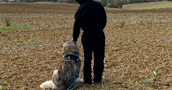 paul pet sitter à BEAUMONT SUR LEZE 31870_2