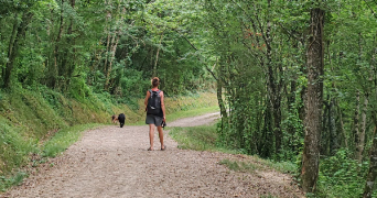 giulia pet sitter à ALLEMANS DU DROPT 47800_0