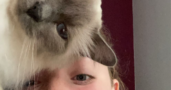 lorna pet sitter à SOULEUVRE EN BOCAGE 14350_2